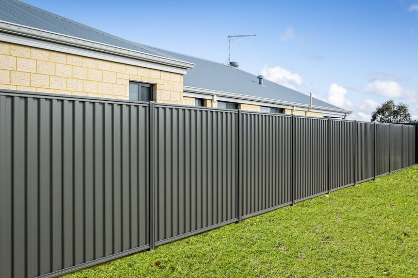 Grey Colorbond-style corrugated steel fence panel