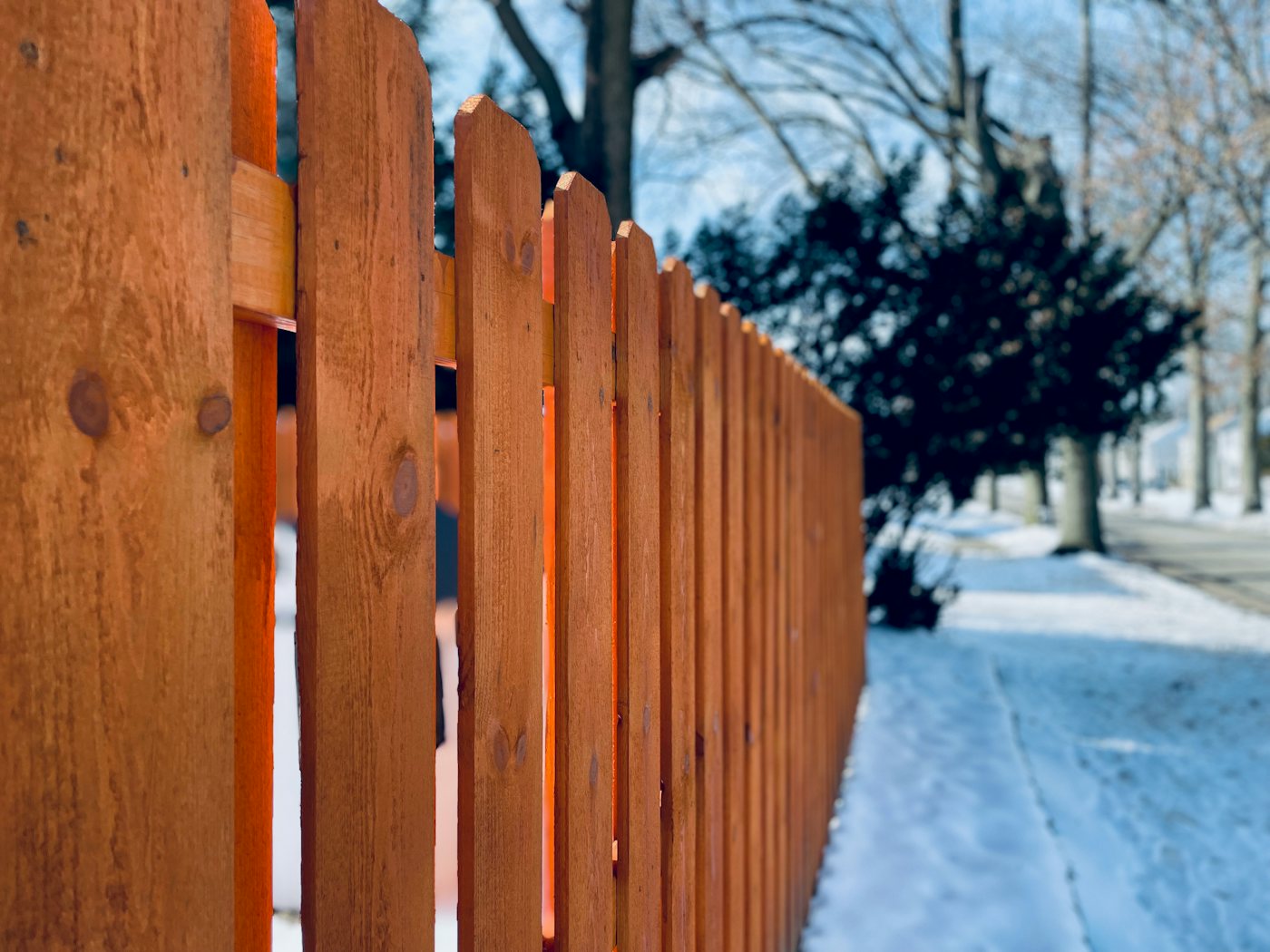 Stained timber paling fence